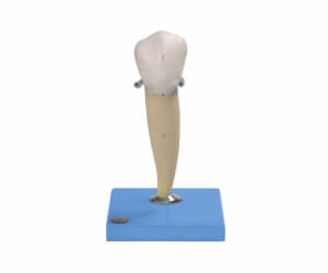 BioLab Products